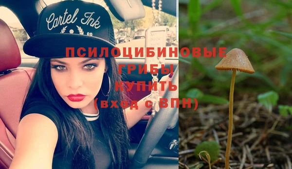 ГАЛЛЮЦИНОГЕННЫЕ ГРИБЫ Нязепетровск