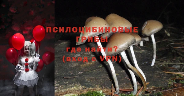 ГАЛЛЮЦИНОГЕННЫЕ ГРИБЫ Нязепетровск