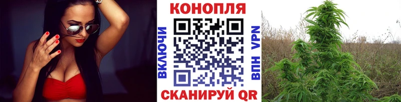 Марихуана Amnesia  где найти наркотики  Озёры 